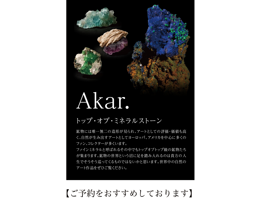 その他 7