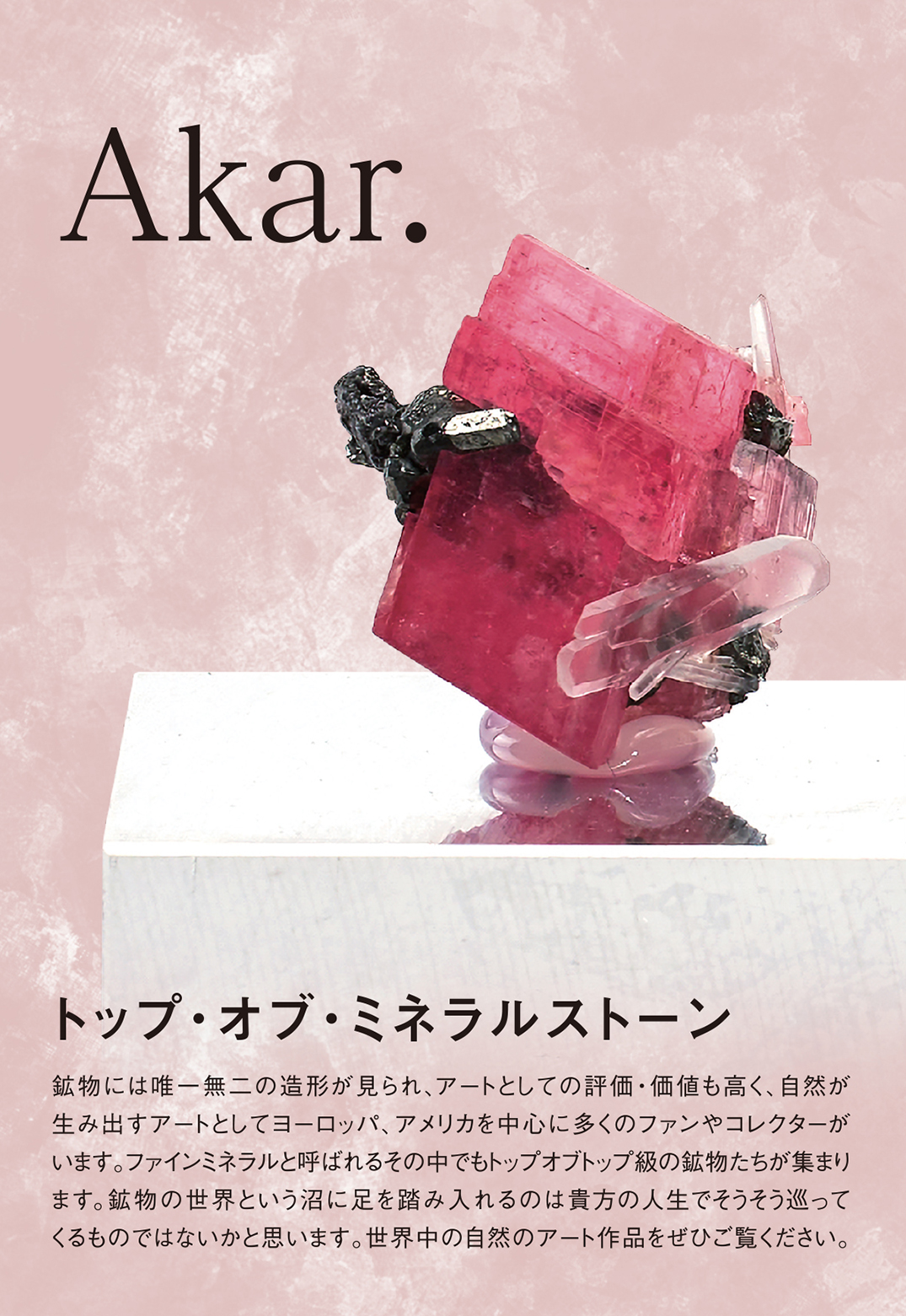その他 6