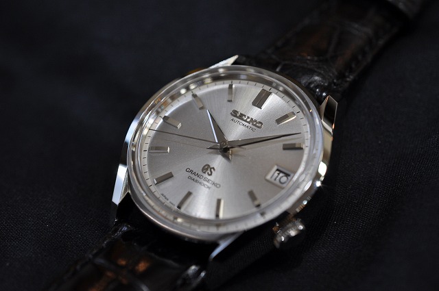 SBGR095 BASIS SPECIES